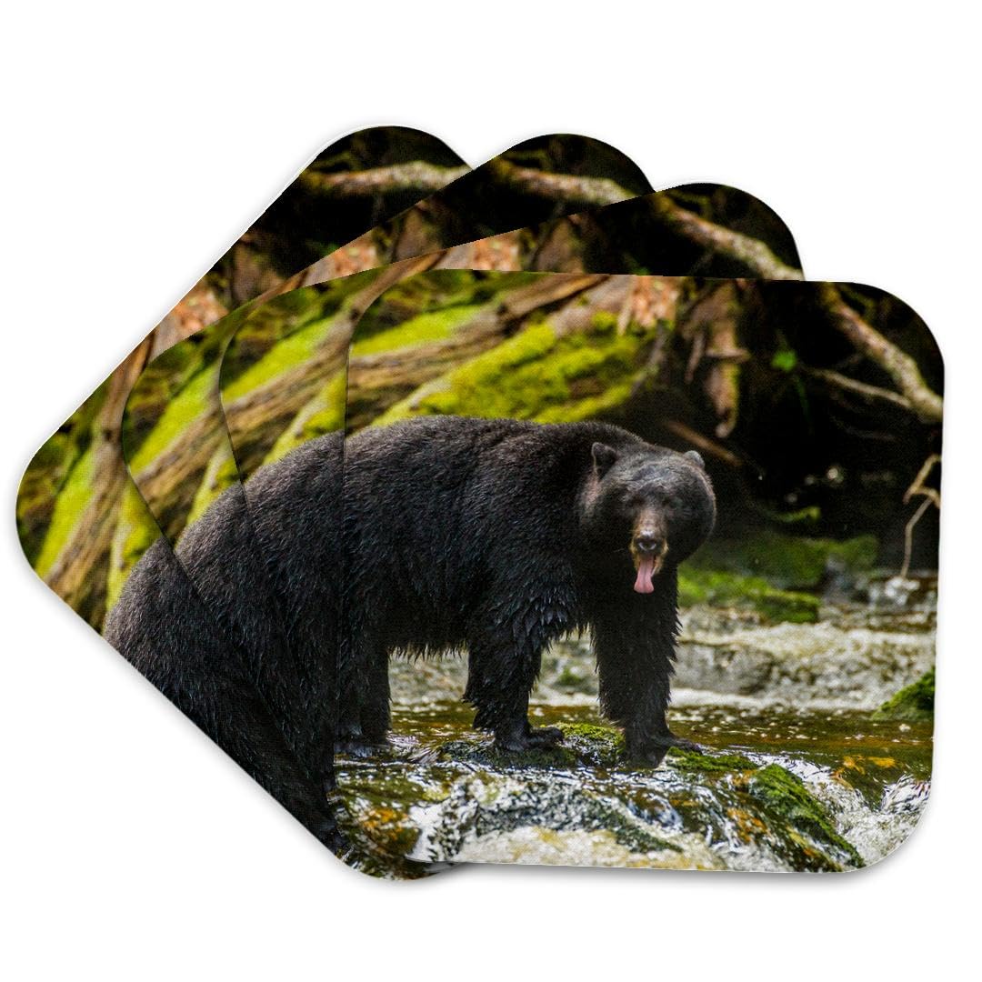 Set of 4 Coasters S7639
