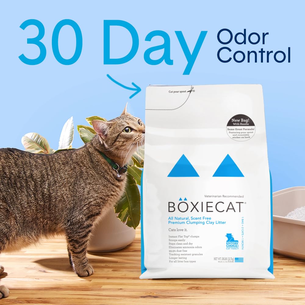 Unscented Clumping Cat Litter 16 lb R2517