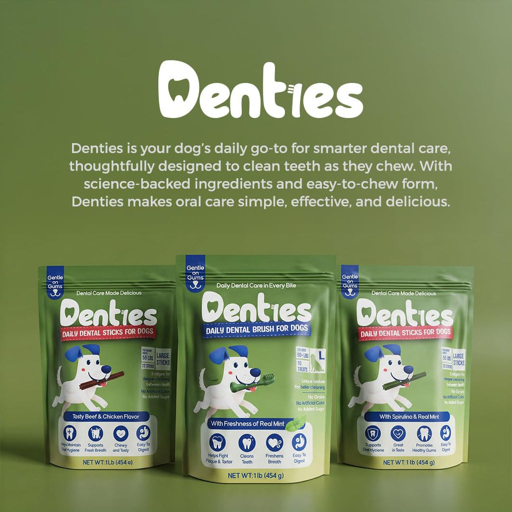 Dental Chews for Small Dogs 16 oz 35 Treats Y5855