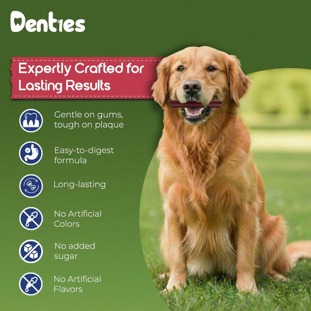 Dental Chews for Small Dogs 16 oz 35 Treats Y5855