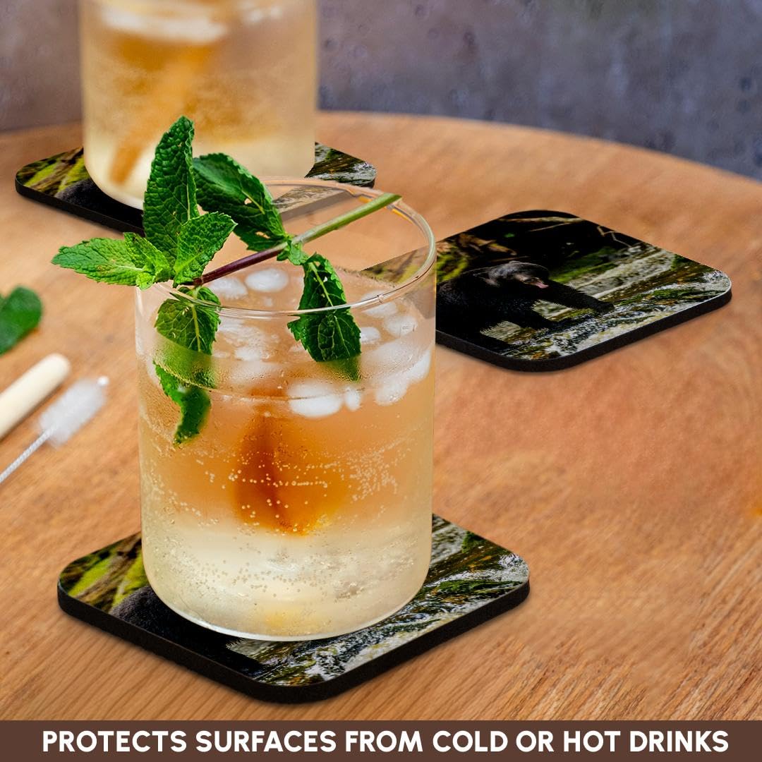 Set of 4 Coasters S7639