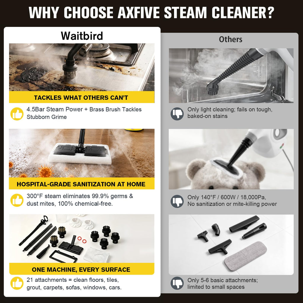 4.5 Bar 300°F Steam Cleaner I9945