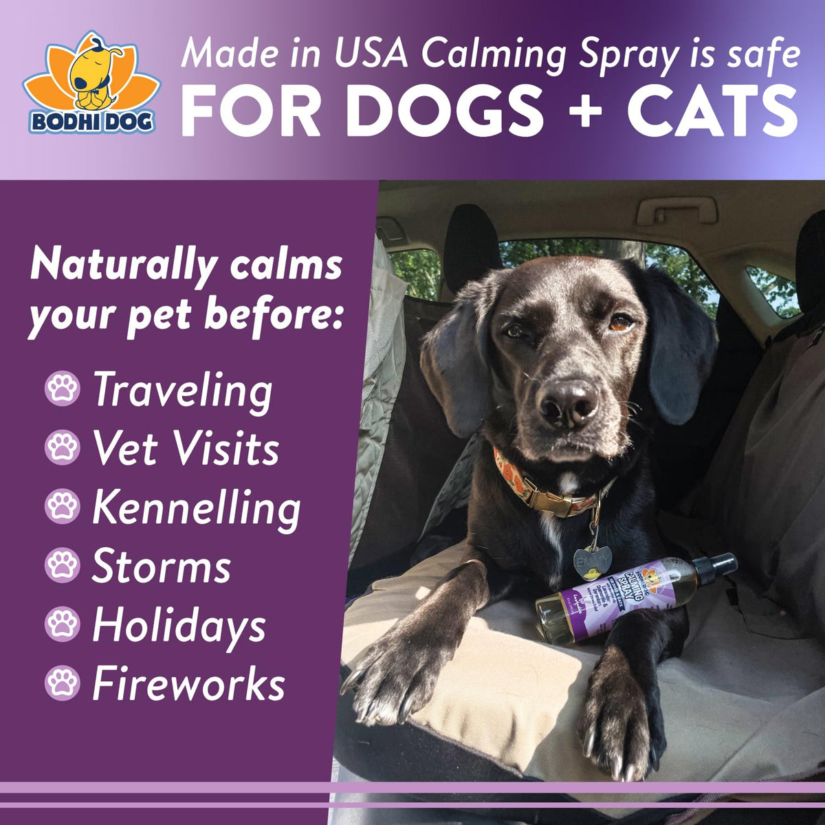 Lavender Calming Spray for Dogs & Cats 8 oz H47401