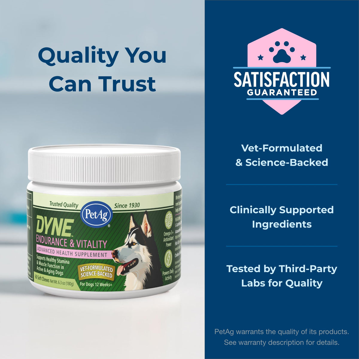 Soft Chews for Dogs 60 Count U96553