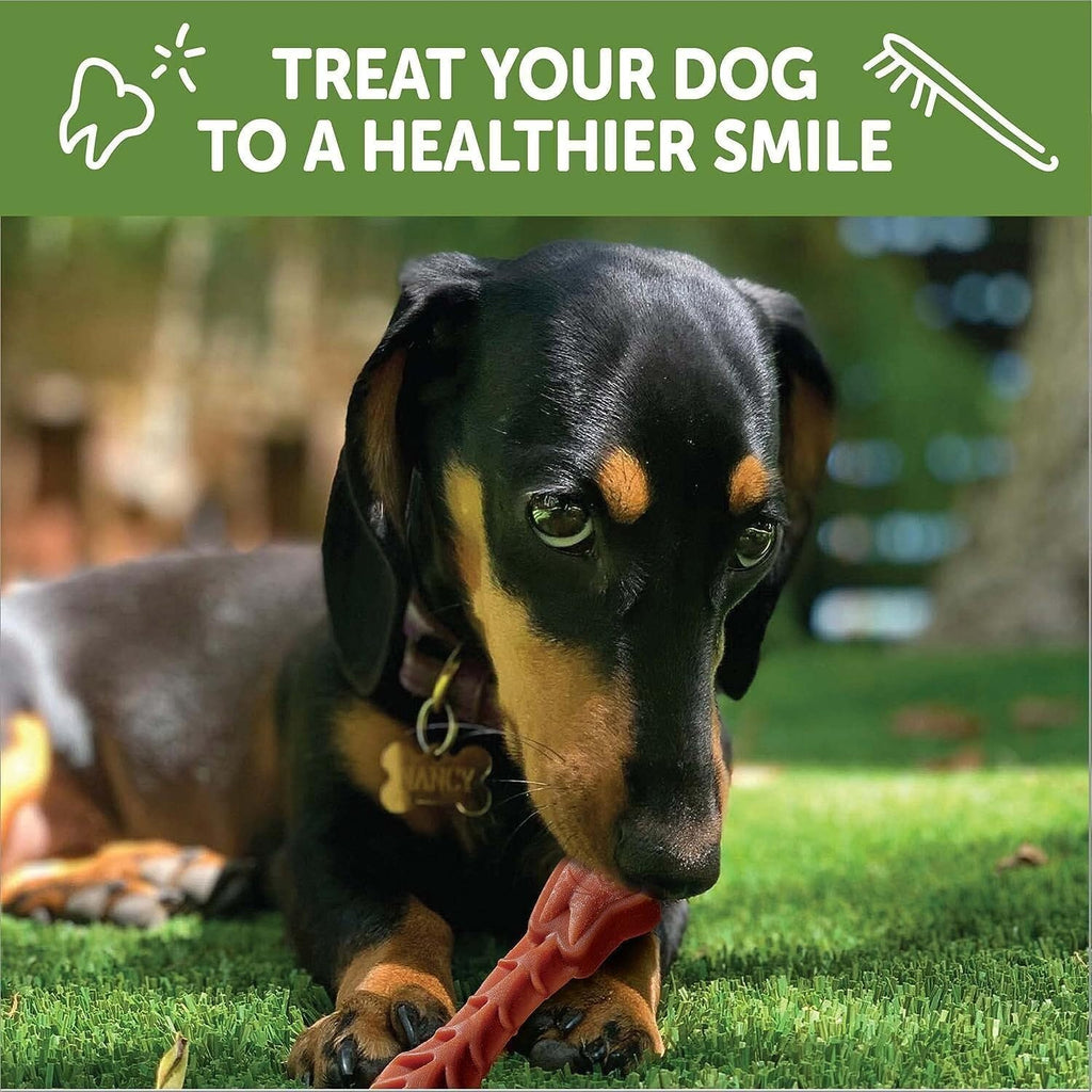 Natural Grain-Free Dental Dog Treats Variety Pack K4810