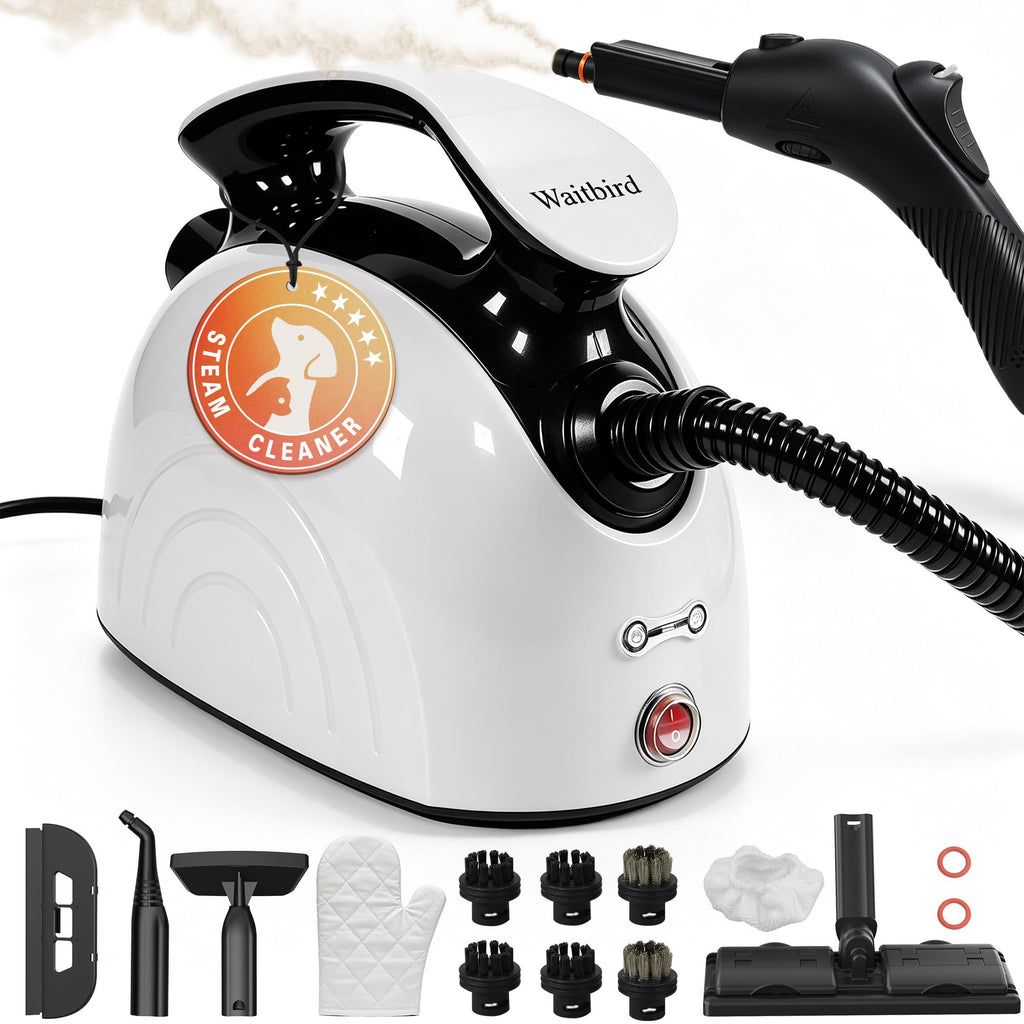 4.5 Bar 300°F Steam Cleaner I9945