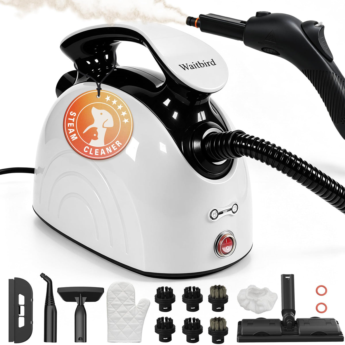 4.5 Bar 300°F Steam Cleaner I9945