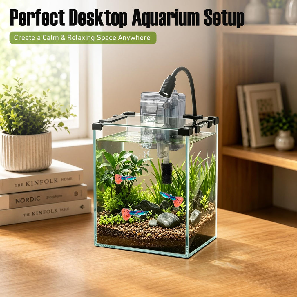 2.2 Gallon Glass Fish Tank Kit Y605