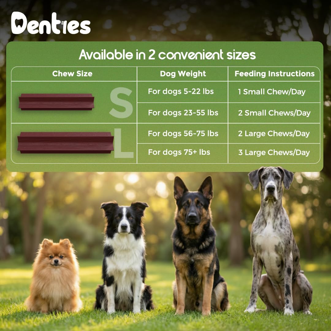 Dental Chews for Small Dogs 16 oz 35 Treats Y5855