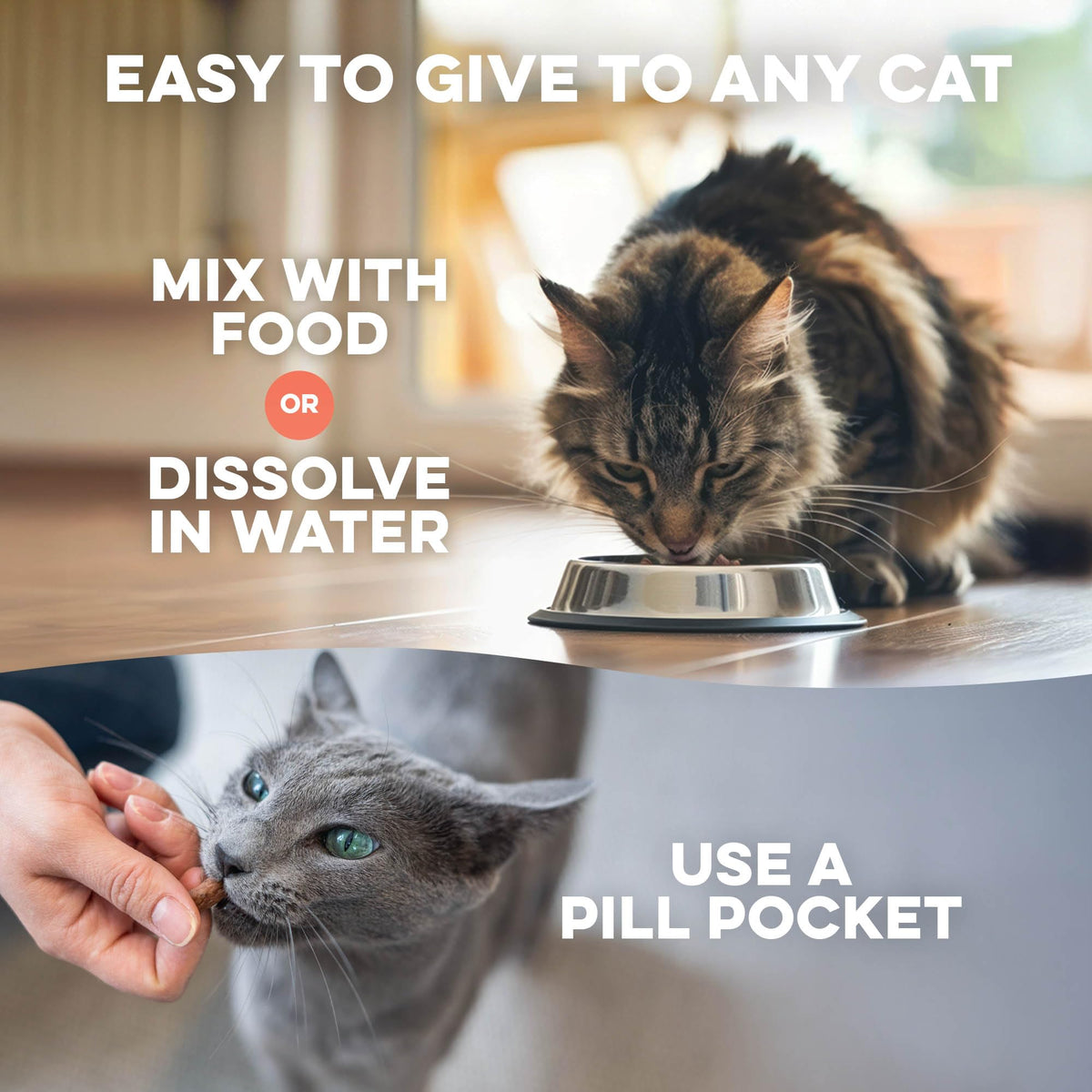 Mange Support for Cats 400 Pills M3137