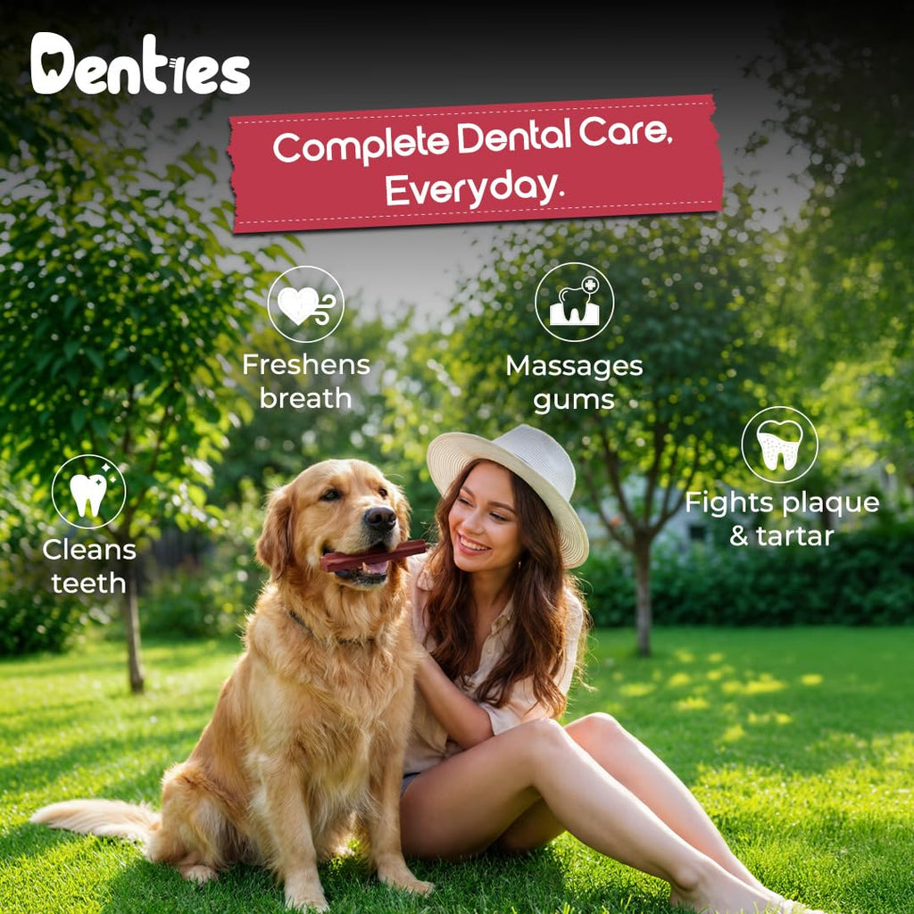 Dental Chews for Small Dogs 16 oz 35 Treats Y5855