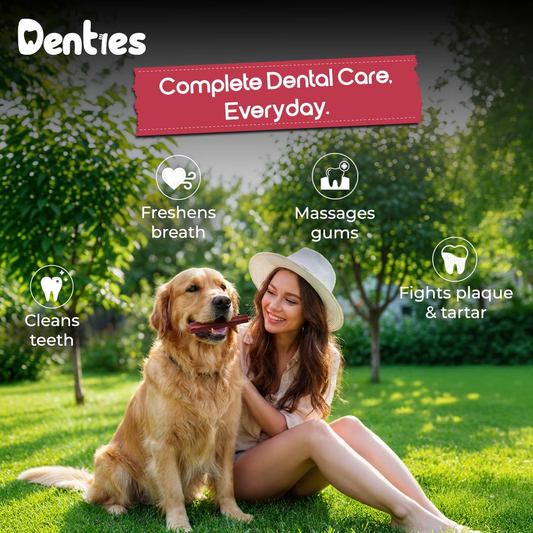 Dental Chews for Small Dogs 16 oz 35 Treats Y5855