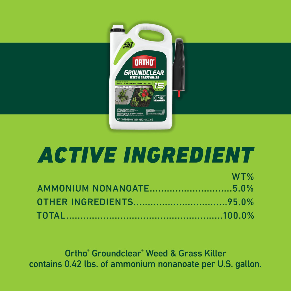 Weed & Grass Killer with Comfort Wand, 1 gal. N47695