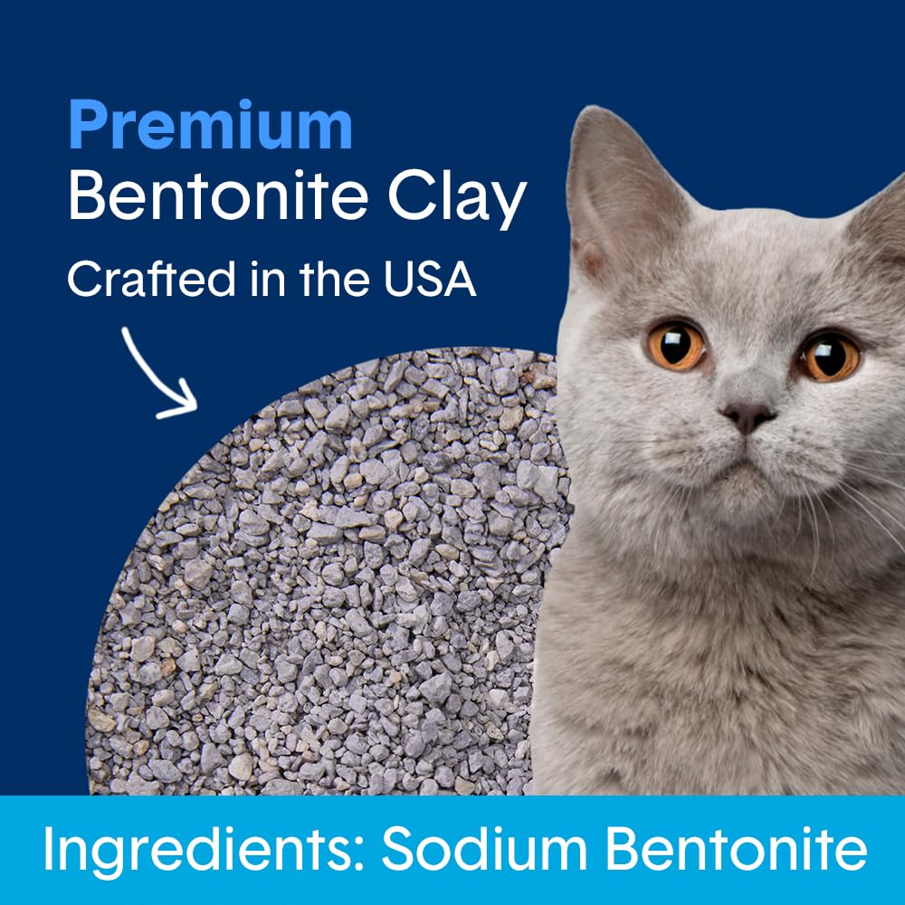 Unscented Clumping Cat Litter 16 lb R2517