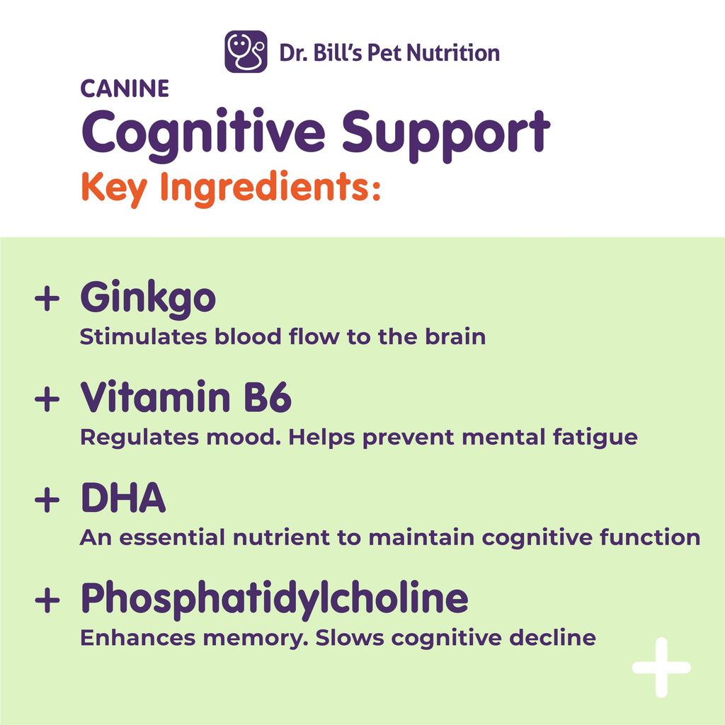 Canine Cognitive Support Supplement for Dogs I289