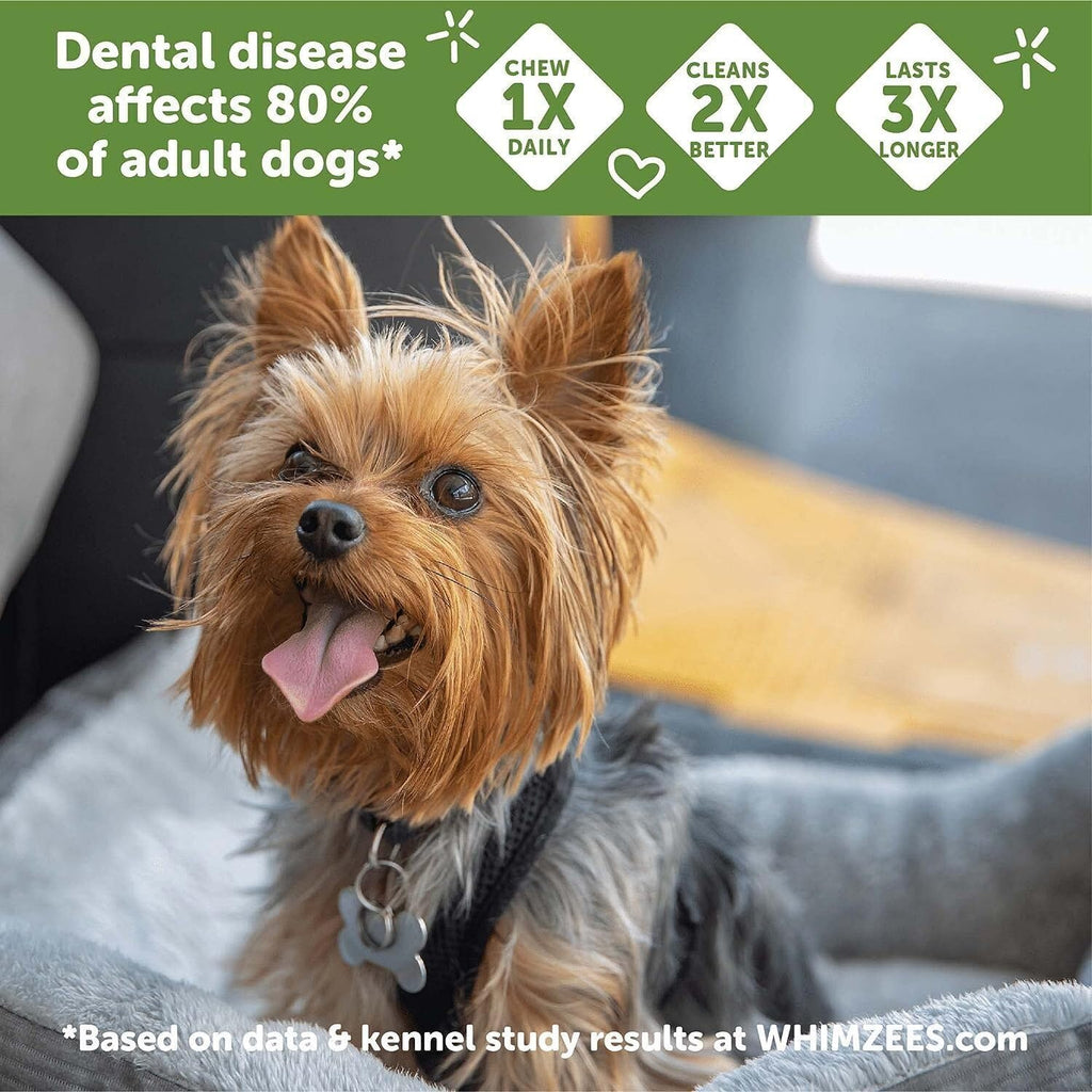 Natural Grain-Free Dental Dog Treats Variety Pack K4810