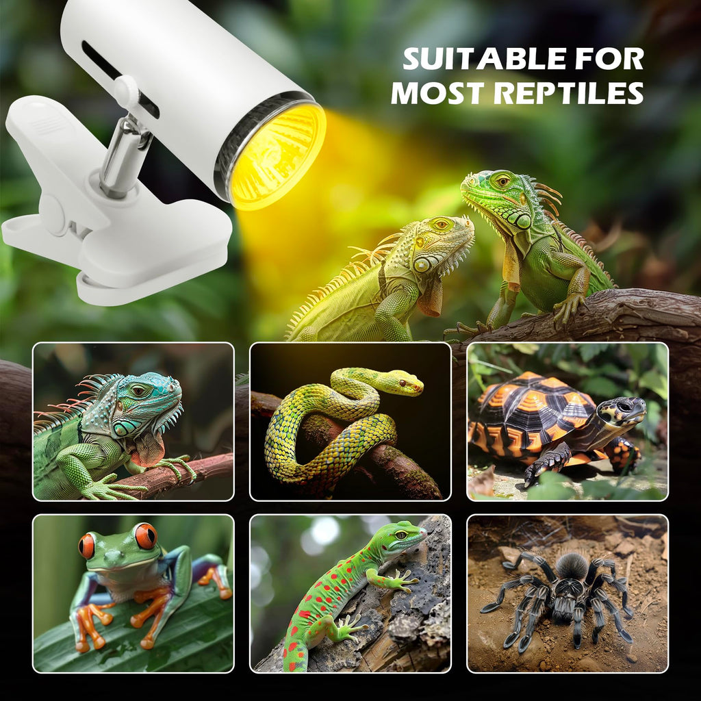 12x7x9 inch Reptile Terrarium with Heat Lamp M349259