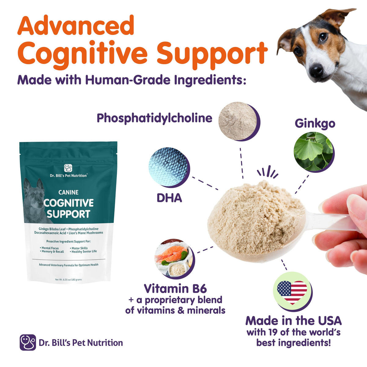 Canine Cognitive Support Supplement for Dogs I289