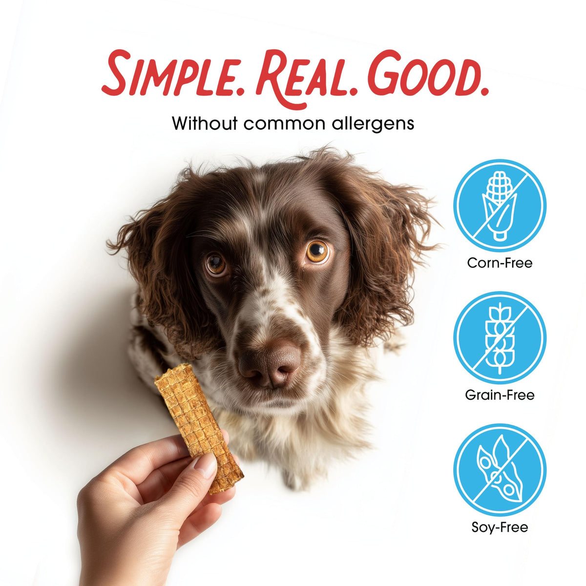 Chicken Jerky Dog Treats 3 lb Bag O94020