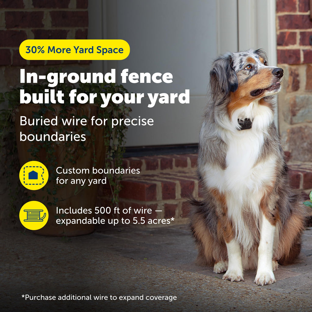 In-Ground Fence O42619