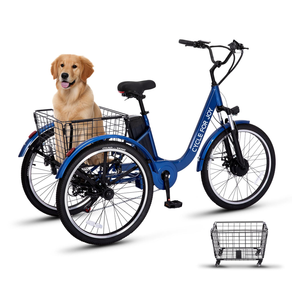 3 Wheel Electric Bike S96340