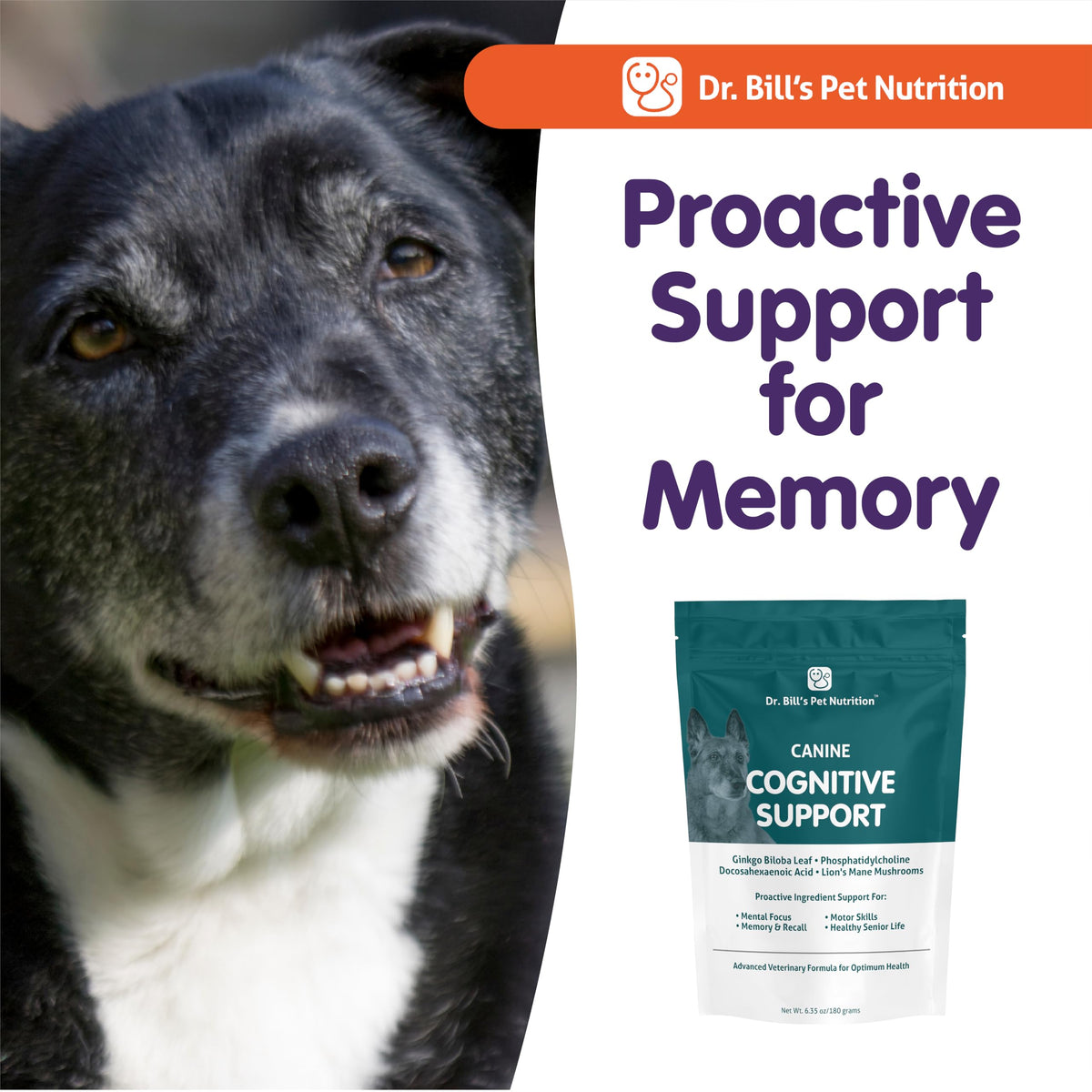 Canine Cognitive Support Supplement for Dogs I289