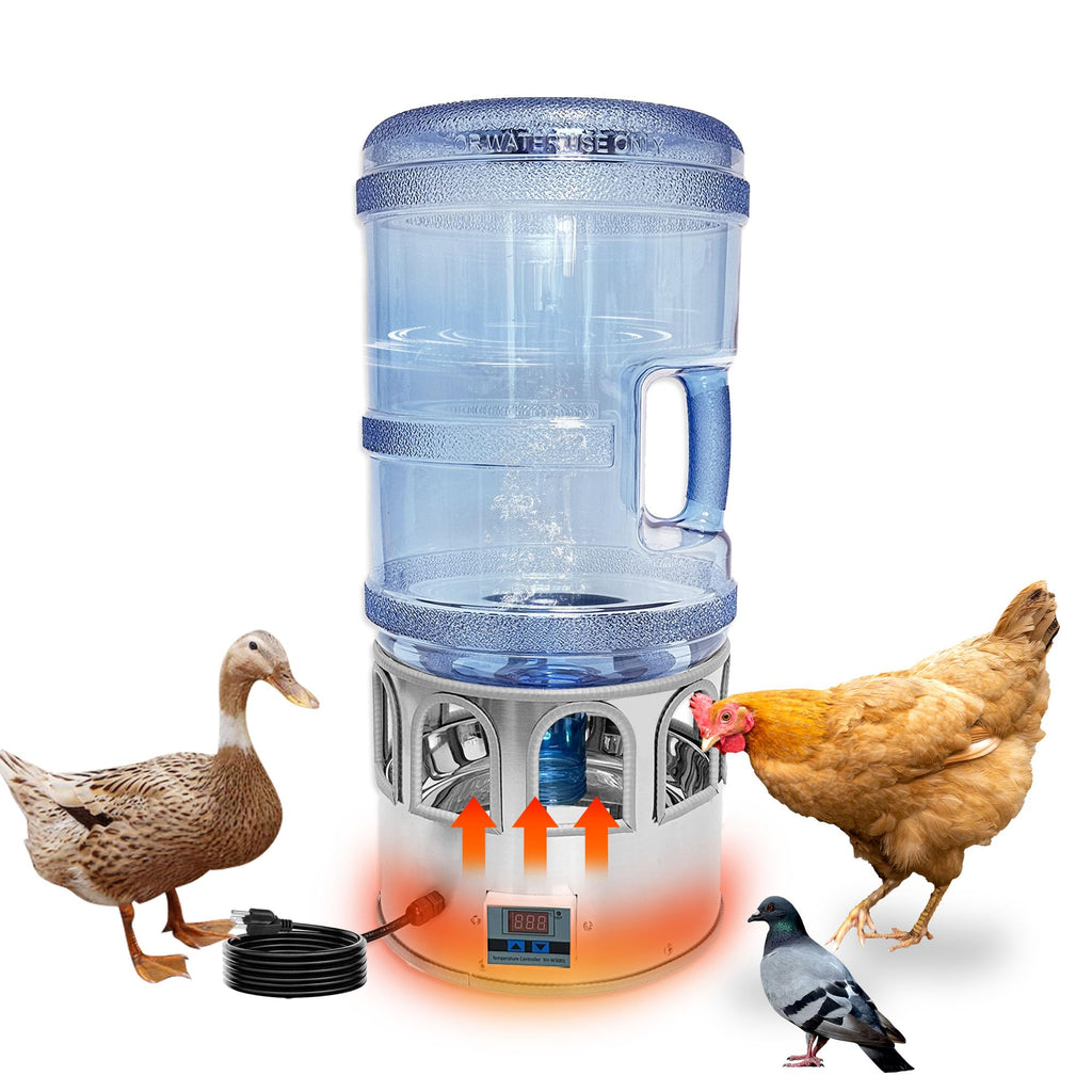 5 Gallon Heated Poultry Waterer R21697