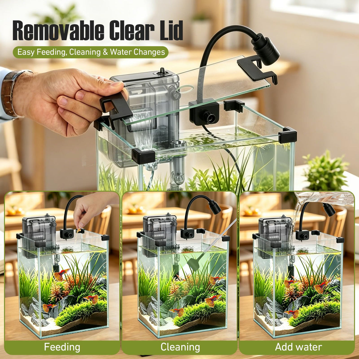 2.2 Gallon Glass Fish Tank Kit Y605
