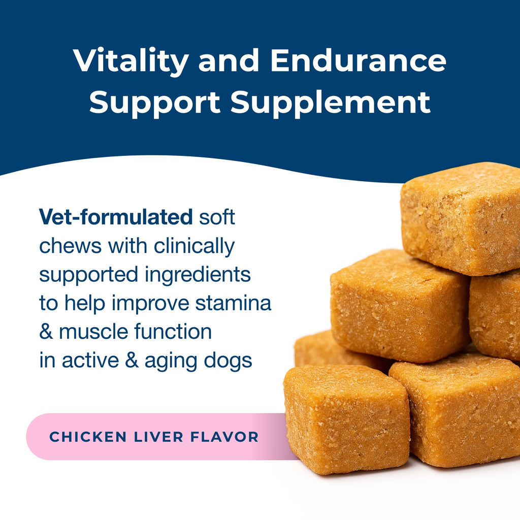 Soft Chews for Dogs 60 Count U96553