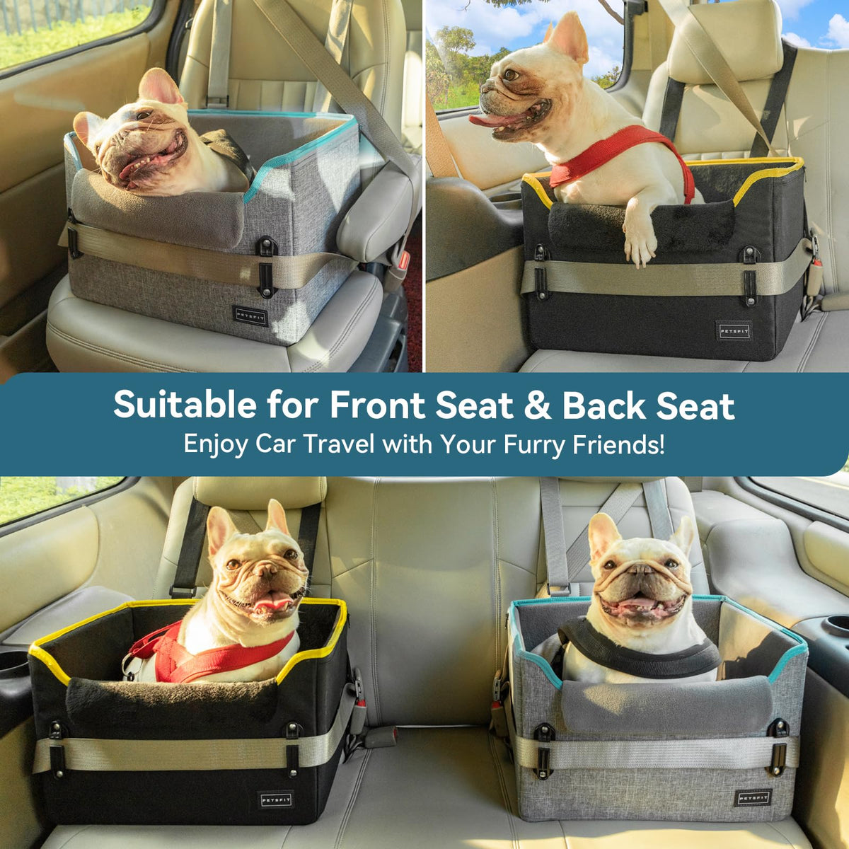 Foldable Dog Booster Car Seat with Safety Tether R3592