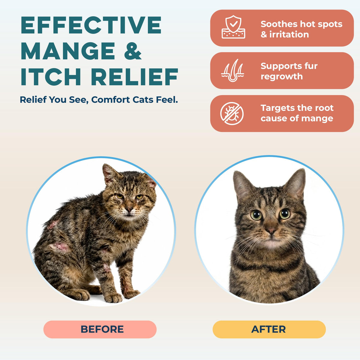 Mange Support for Cats 400 Pills M3137