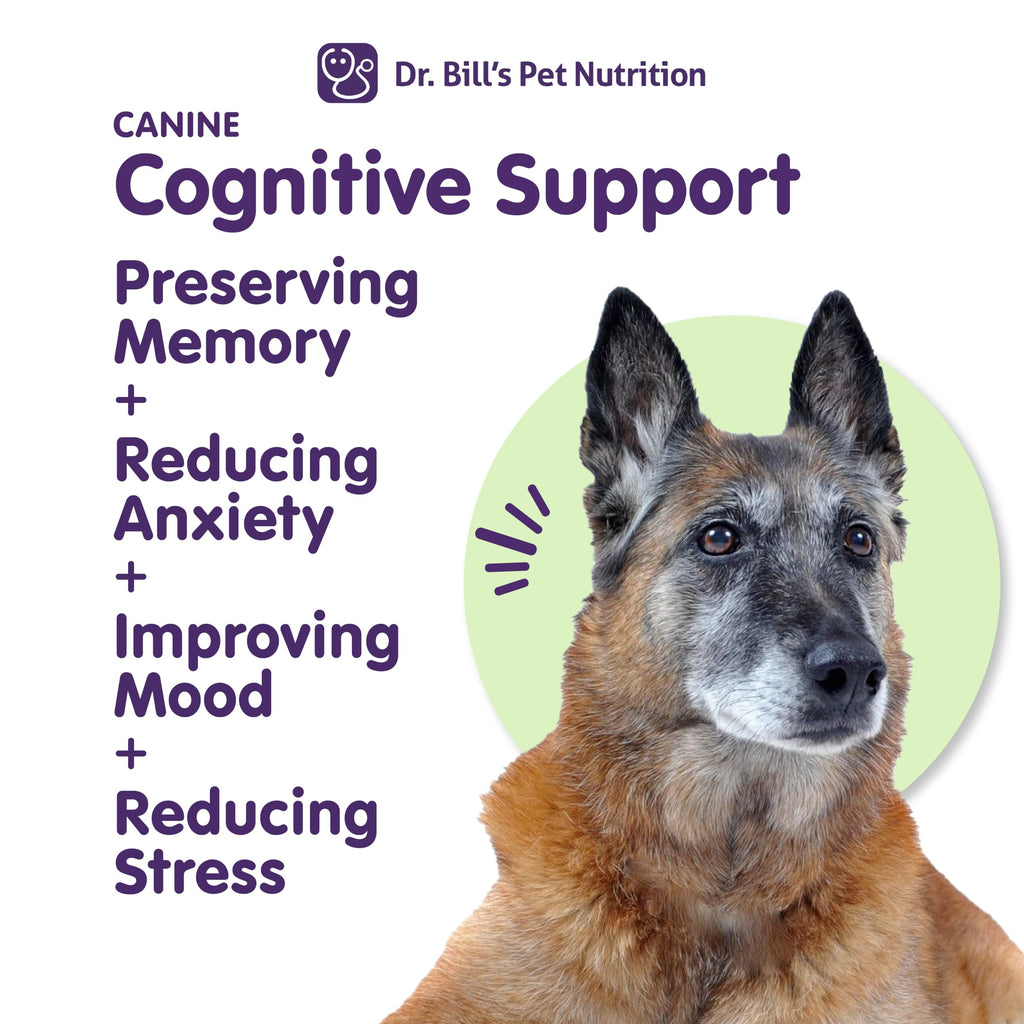 Canine Cognitive Support Supplement for Dogs I289