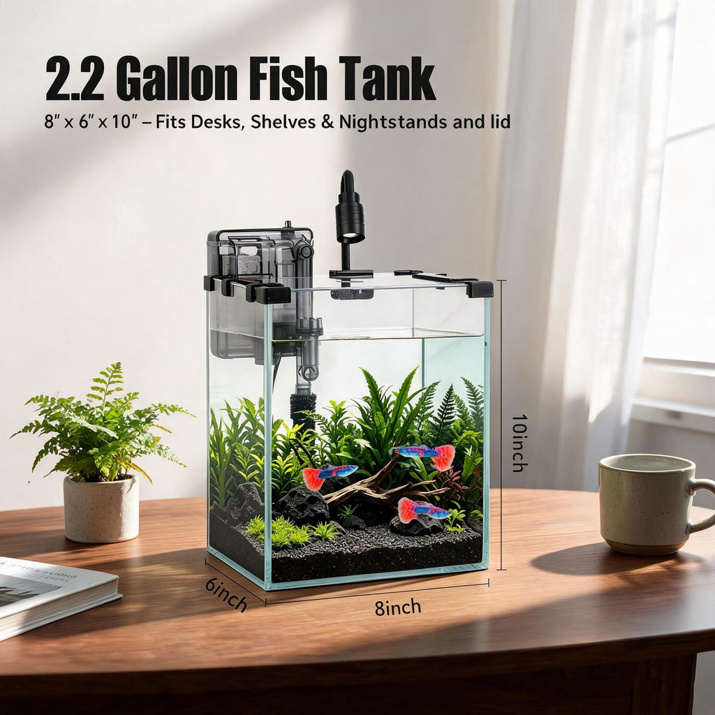 2.2 Gallon Glass Fish Tank Kit Y605