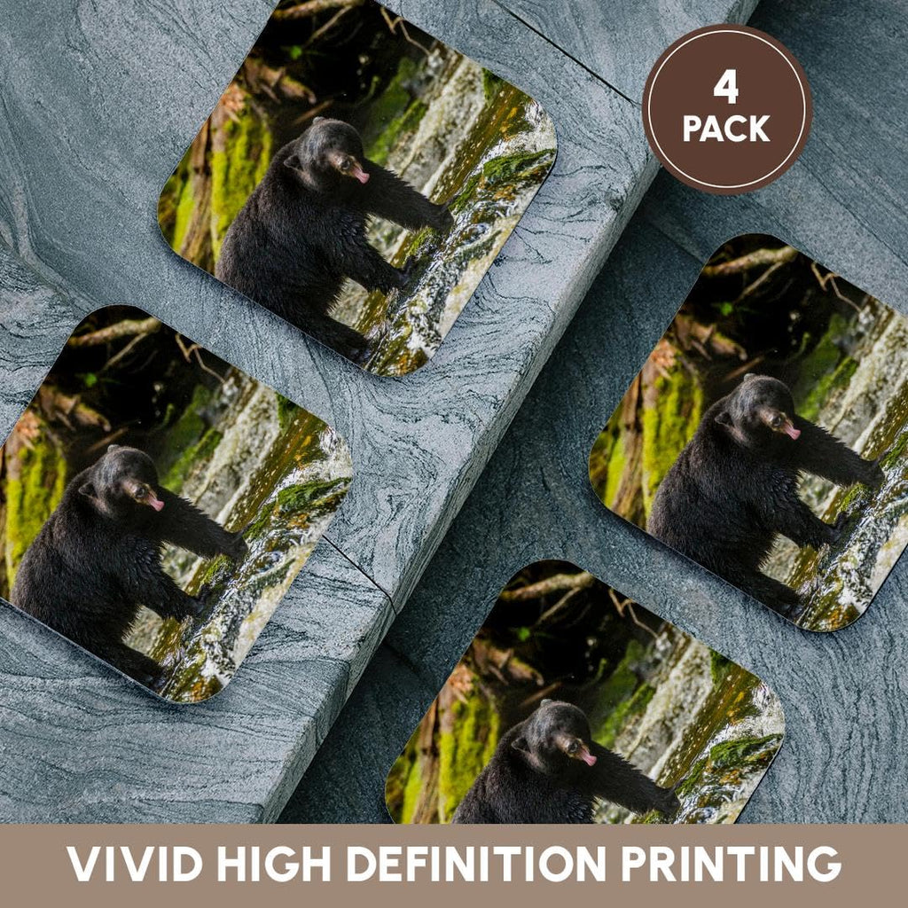 Set of 4 Coasters S7639