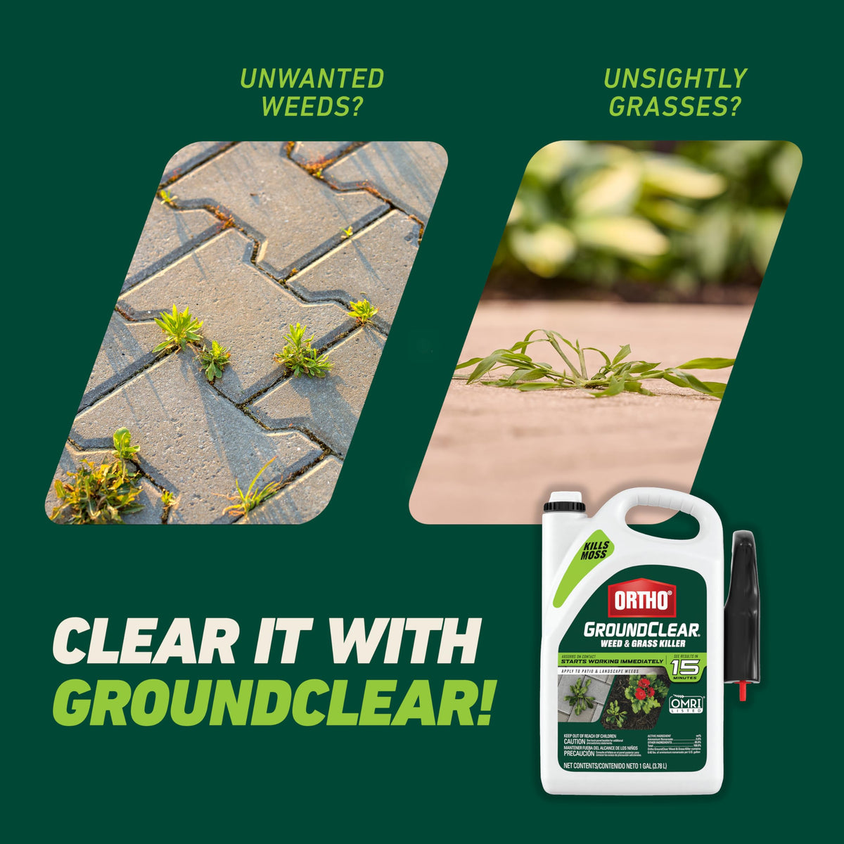 Weed & Grass Killer with Comfort Wand, 1 gal. N47695