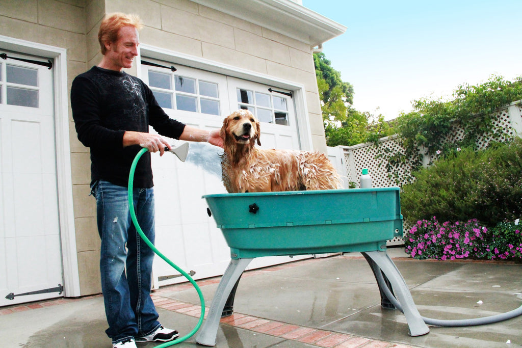 Elevated Pet Bathing Large C219
