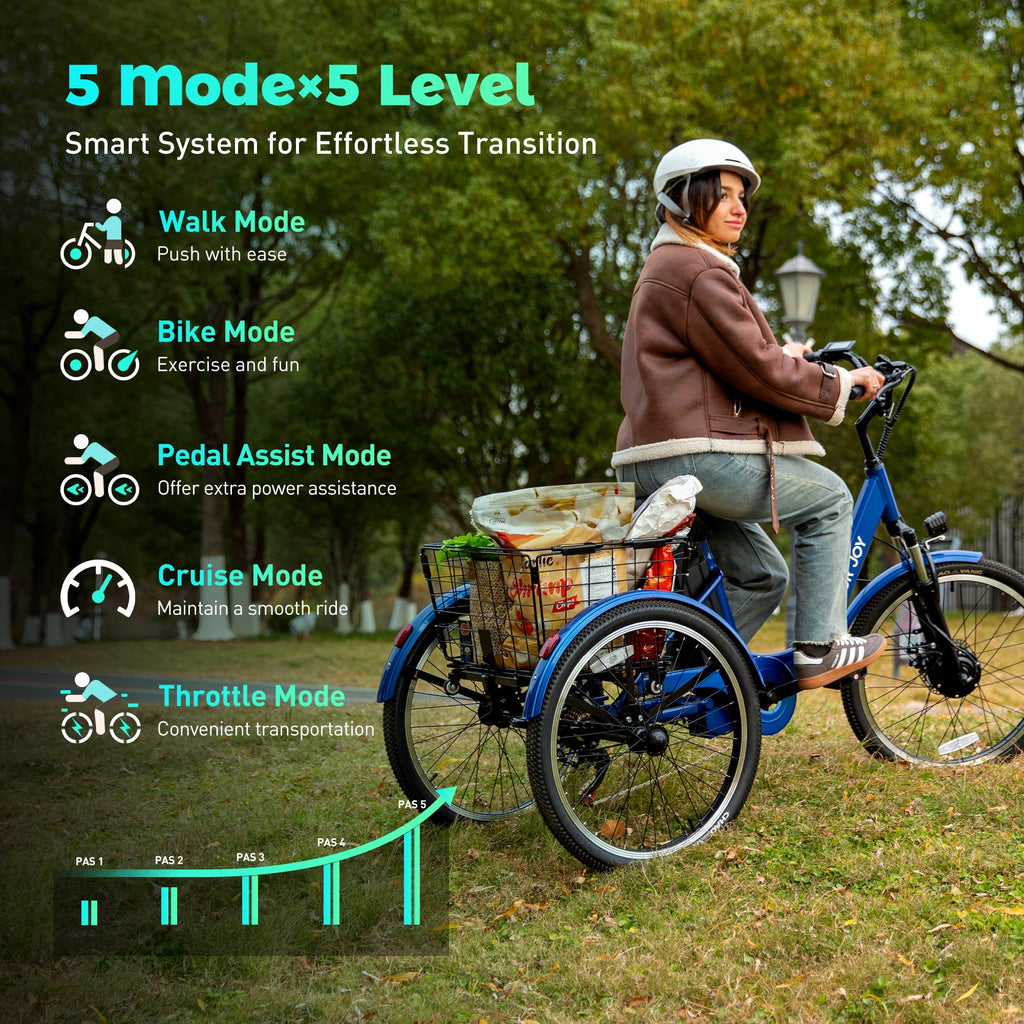 3 Wheel Electric Bike S96340