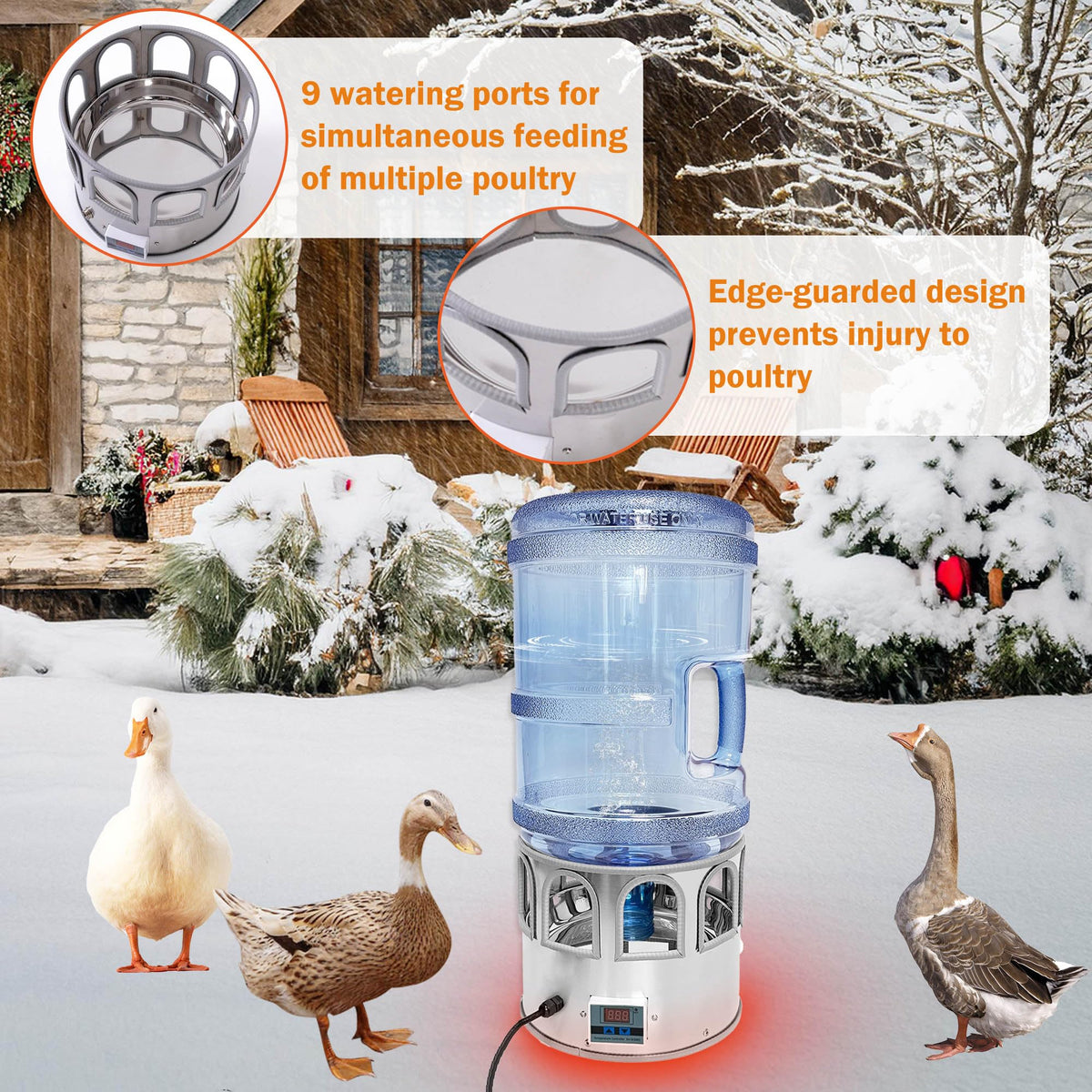 5 Gallon Heated Poultry Waterer R21697