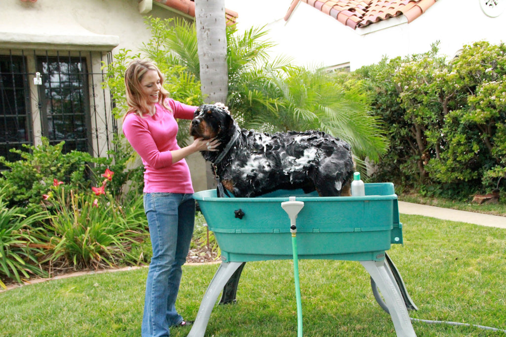 Elevated Pet Bathing Large C219