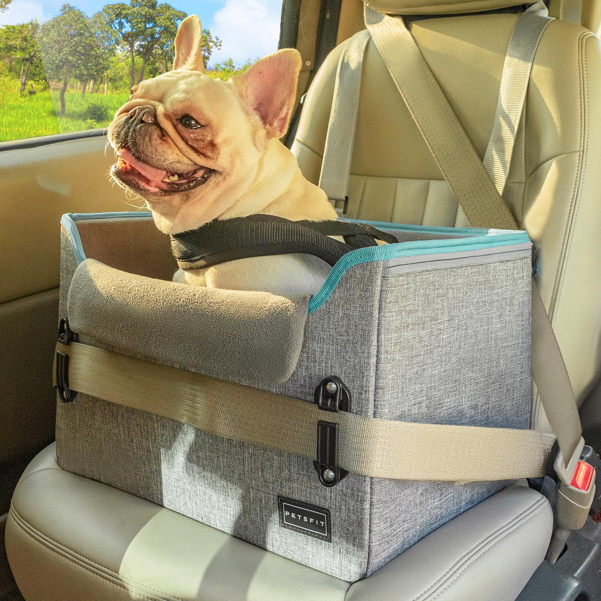 Foldable Dog Booster Car Seat with Safety Tether R3592